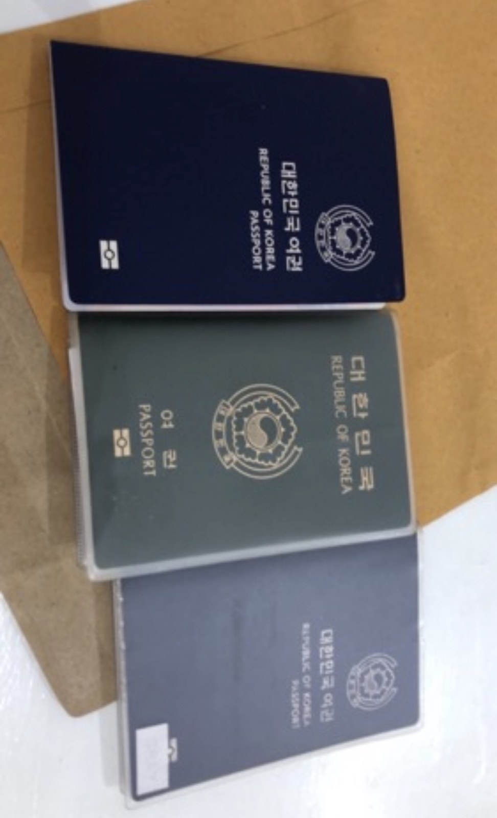 여권 사진